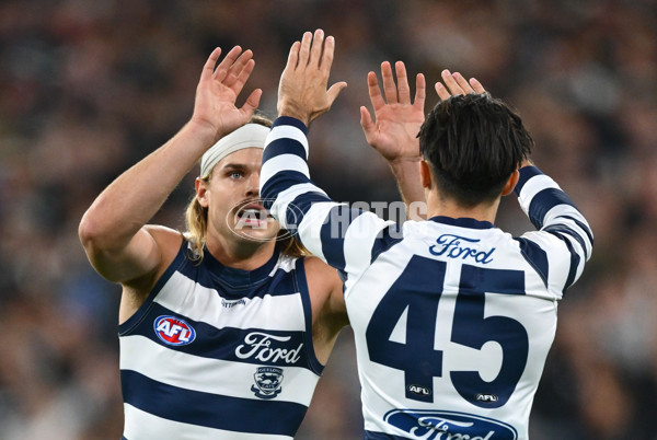 AFL 2025 Round 08 - Collingwood v Geelong - A-59165604