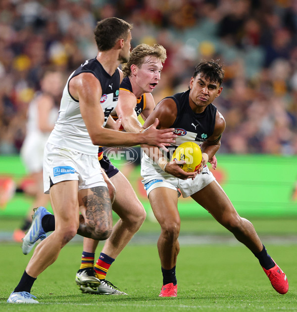 AFL 2025 Round 08 - Adelaide v Carlton - A-59165613