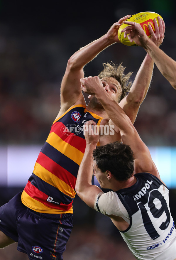 AFL 2025 Round 08 - Adelaide v Carlton - A-59165634