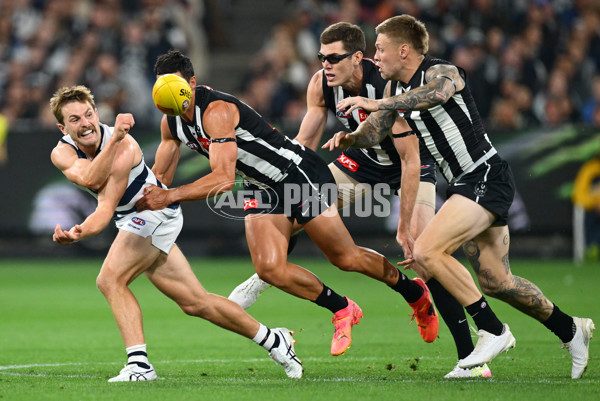 AFL 2025 Round 08 - Collingwood v Geelong - A-59165665