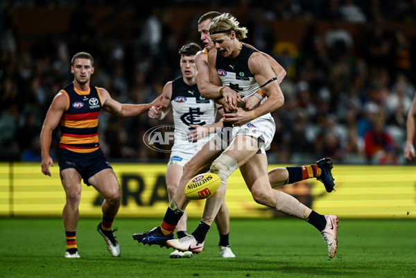 AFL 2025 Round 08 - Adelaide v Carlton - A-59165666