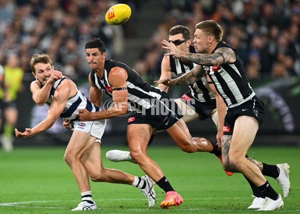AFL 2025 Round 08 - Collingwood v Geelong - A-59166155
