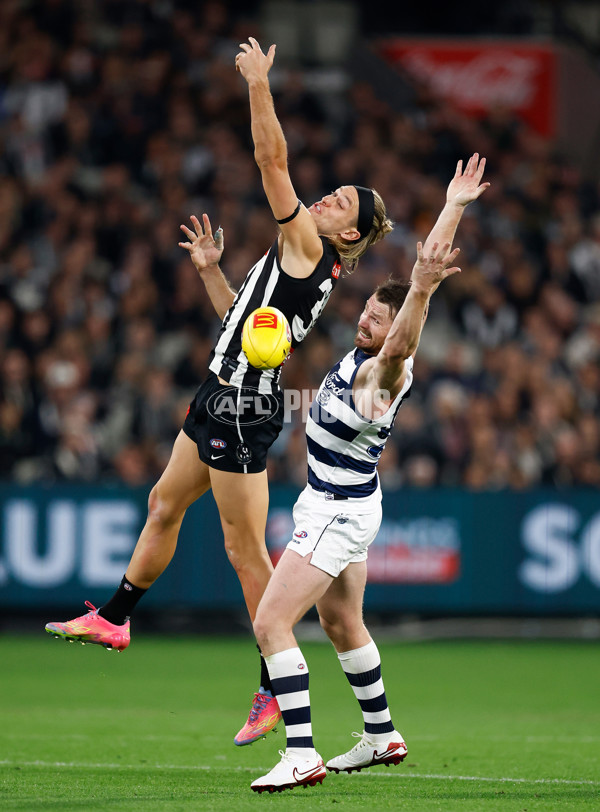 AFL 2025 Round 08 - Collingwood v Geelong - A-59166195