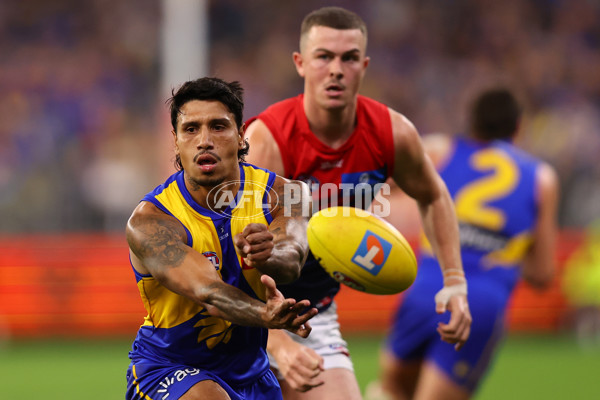 AFL 2025 Round 08 - West Coast v Melbourne - A-59166199