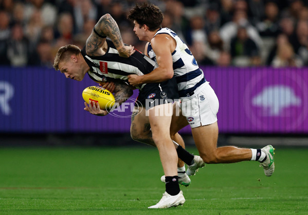 AFL 2025 Round 08 - Collingwood v Geelong - A-59168026