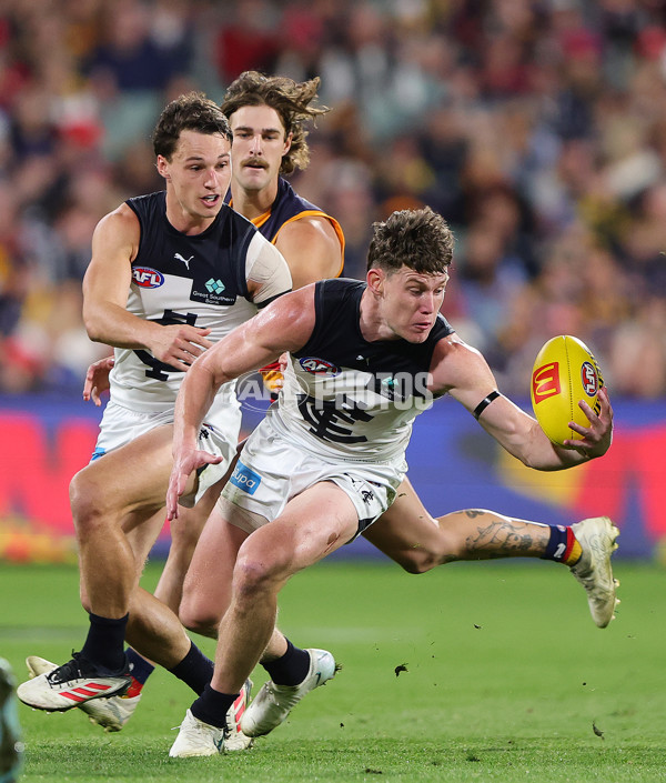 AFL 2025 Round 08 - Adelaide v Carlton - A-59168032