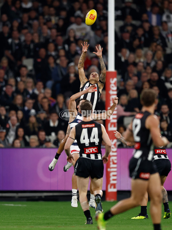 AFL 2025 Round 08 - Collingwood v Geelong - A-59168047