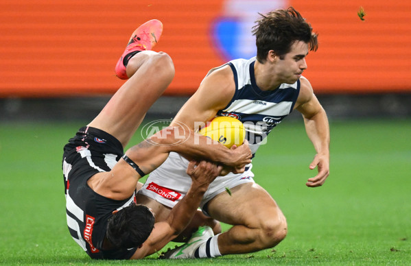 AFL 2025 Round 08 - Collingwood v Geelong - A-59168055