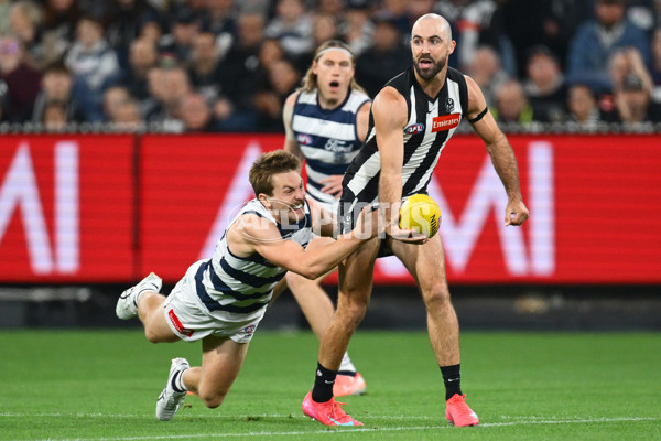 AFL 2025 Round 08 - Collingwood v Geelong - A-59168056