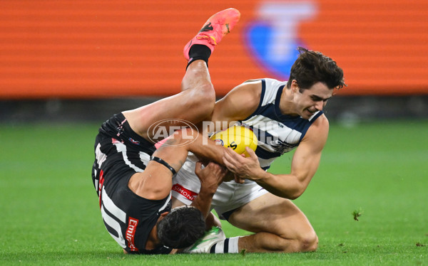 AFL 2025 Round 08 - Collingwood v Geelong - A-59168057