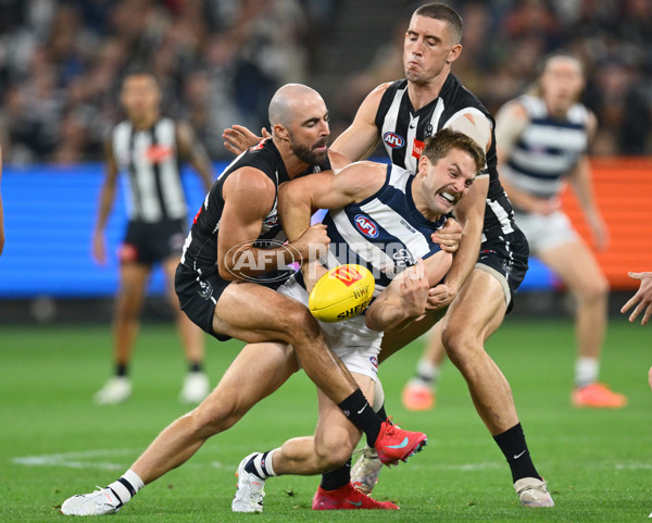 AFL 2025 Round 08 - Collingwood v Geelong - A-59168066