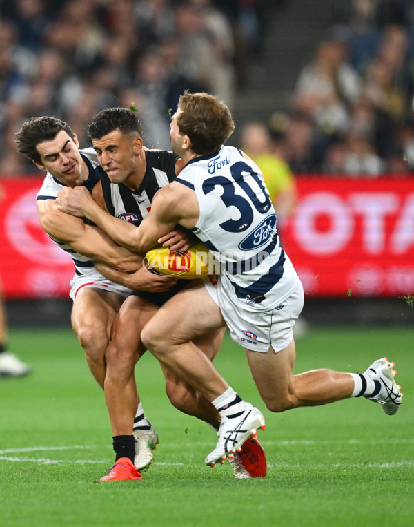 AFL 2025 Round 08 - Collingwood v Geelong - A-59168067