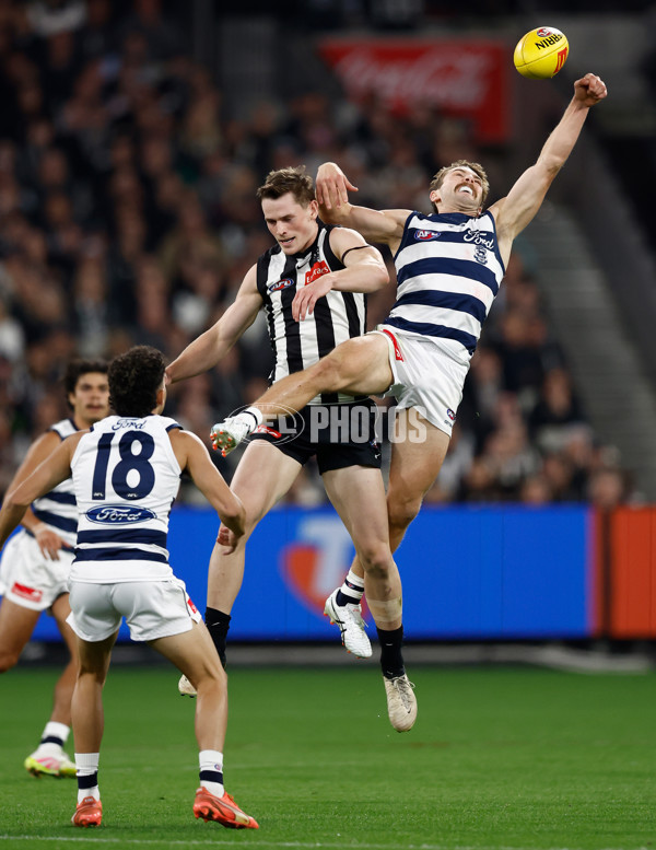 AFL 2025 Round 08 - Collingwood v Geelong - A-59168111