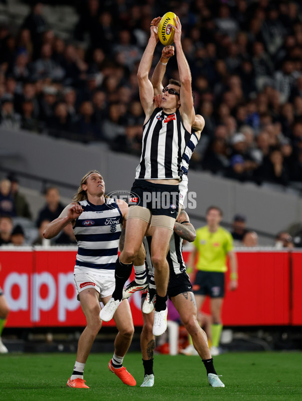 AFL 2025 Round 08 - Collingwood v Geelong - A-59168116