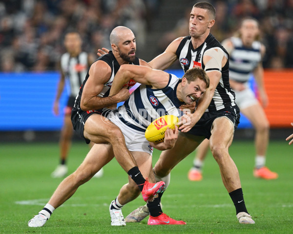 AFL 2025 Round 08 - Collingwood v Geelong - A-59168634