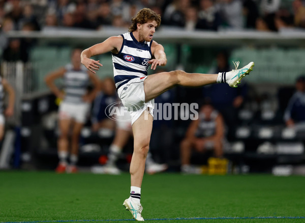 AFL 2025 Round 08 - Collingwood v Geelong - A-59168663