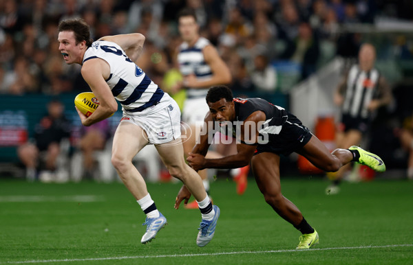 AFL 2025 Round 08 - Collingwood v Geelong - A-59168665