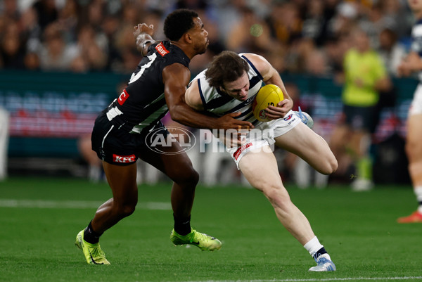 AFL 2025 Round 08 - Collingwood v Geelong - A-59168666