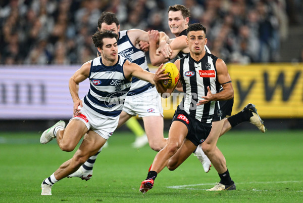 AFL 2025 Round 08 - Collingwood v Geelong - A-59170104