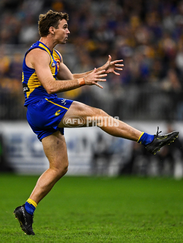 AFL 2025 Round 08 - West Coast v Melbourne - A-59170123