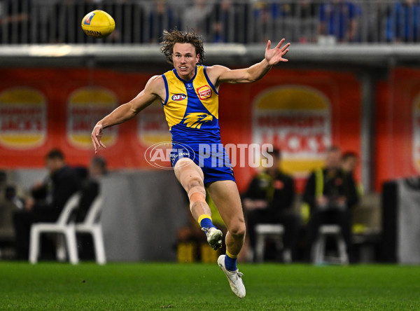 AFL 2025 Round 08 - West Coast v Melbourne - A-59170124