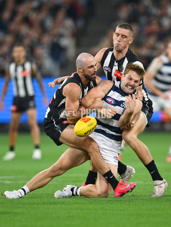 AFL 2025 Round 08 - Collingwood v Geelong - A-59171268