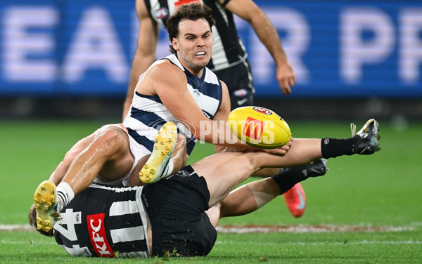 AFL 2025 Round 08 - Collingwood v Geelong - A-59171276