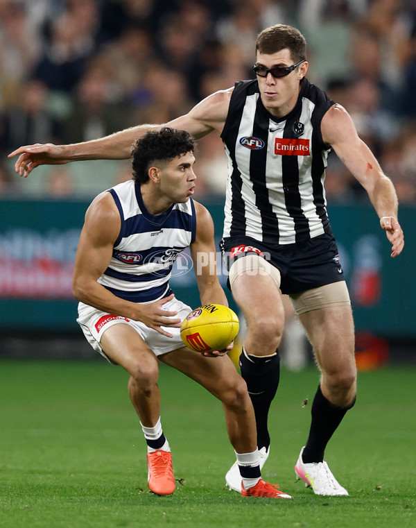 AFL 2025 Round 08 - Collingwood v Geelong - A-59171306