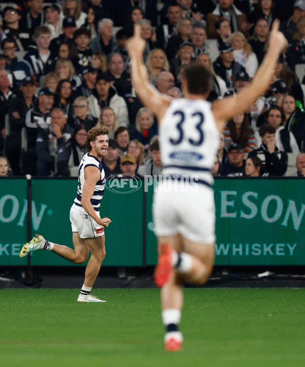 AFL 2025 Round 08 - Collingwood v Geelong - A-59171344
