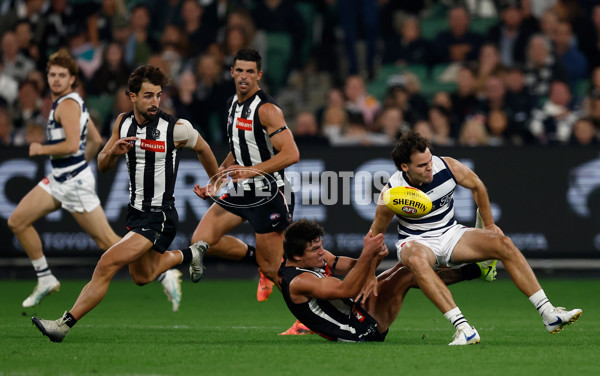 AFL 2025 Round 08 - Collingwood v Geelong - A-59172479