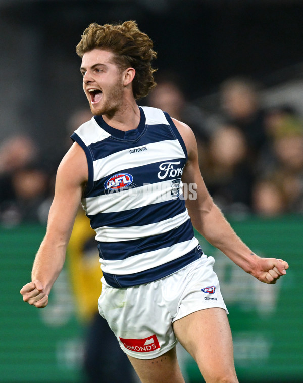 AFL 2025 Round 08 - Collingwood v Geelong - A-59172528