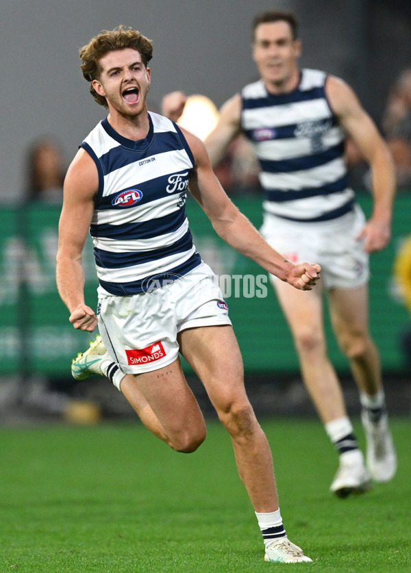 AFL 2025 Round 08 - Collingwood v Geelong - A-59172529