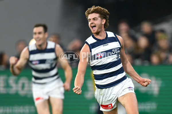 AFL 2025 Round 08 - Collingwood v Geelong - A-59172530