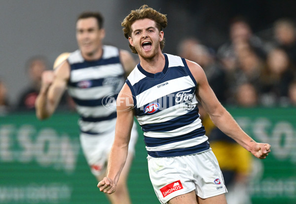 AFL 2025 Round 08 - Collingwood v Geelong - A-59172531