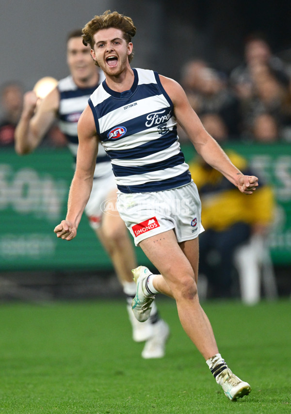 AFL 2025 Round 08 - Collingwood v Geelong - A-59173586