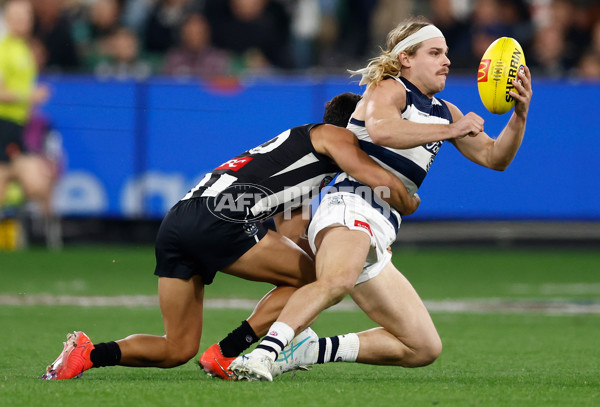 AFL 2025 Round 08 - Collingwood v Geelong - A-59173593