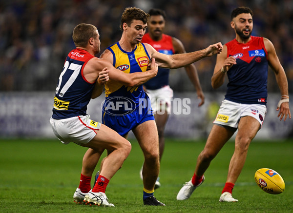 AFL 2025 Round 08 - West Coast v Melbourne - A-59173596
