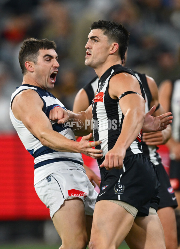 AFL 2025 Round 08 - Collingwood v Geelong - A-59173626