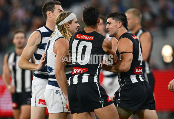 AFL 2025 Round 08 - Collingwood v Geelong - A-59173629