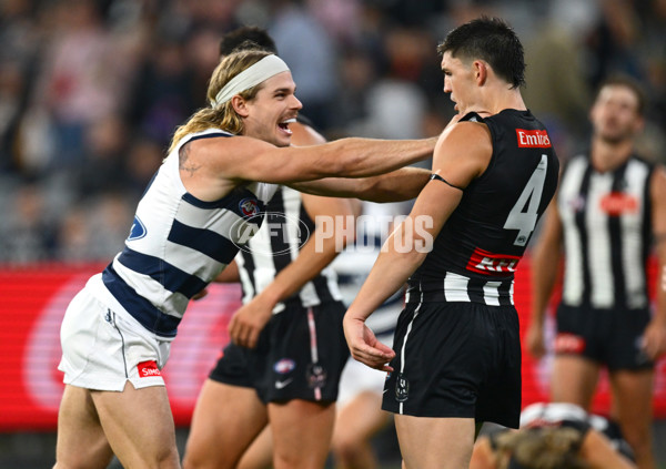 AFL 2025 Round 08 - Collingwood v Geelong - A-59173630