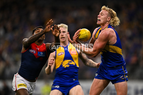 AFL 2025 Round 08 - West Coast v Melbourne - A-59173652