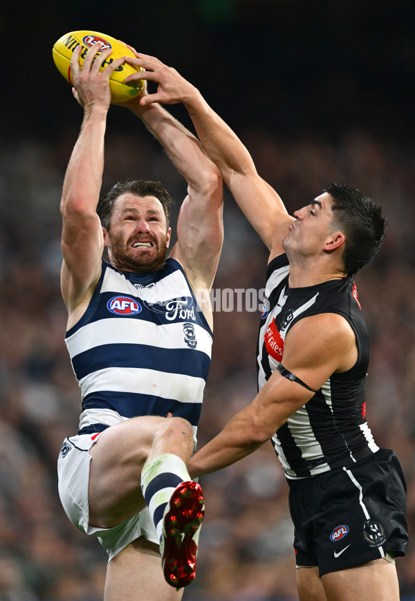AFL 2025 Round 08 - Collingwood v Geelong - A-59173664
