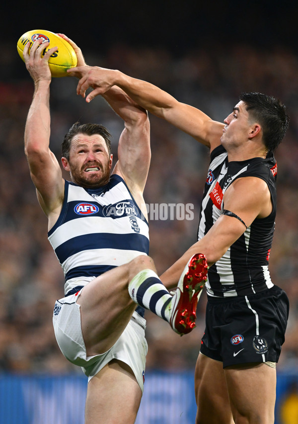 AFL 2025 Round 08 - Collingwood v Geelong - A-59173665