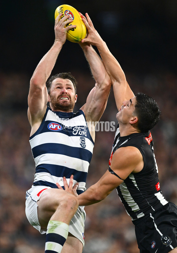 AFL 2025 Round 08 - Collingwood v Geelong - A-59173666