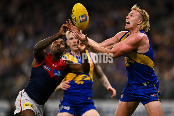 AFL 2025 Round 08 - West Coast v Melbourne - A-59175011