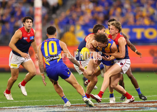 AFL 2025 Round 08 - West Coast v Melbourne - A-59175018