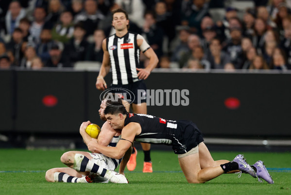 AFL 2025 Round 08 - Collingwood v Geelong - A-59175048