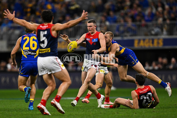 AFL 2025 Round 08 - West Coast v Melbourne - A-59175053