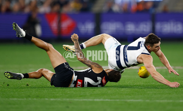 AFL 2025 Round 08 - Collingwood v Geelong - A-59175066