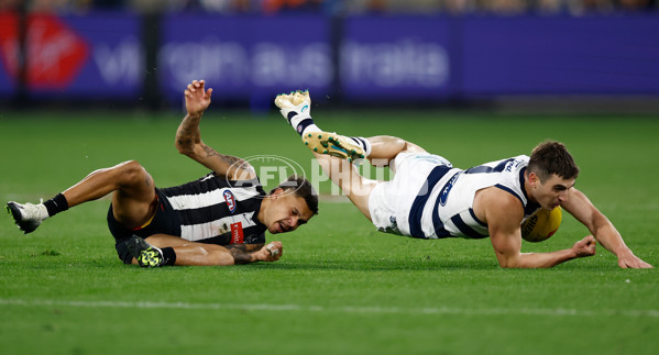 AFL 2025 Round 08 - Collingwood v Geelong - A-59175067
